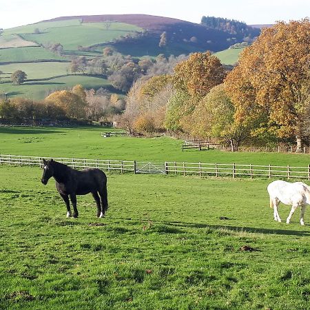 Buzzards Breg Villa Builth Wells Eksteriør bilde